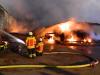 Bild - FEU 2 in Reesdorf: Maschinenhalle brannte in voller Ausdehnung