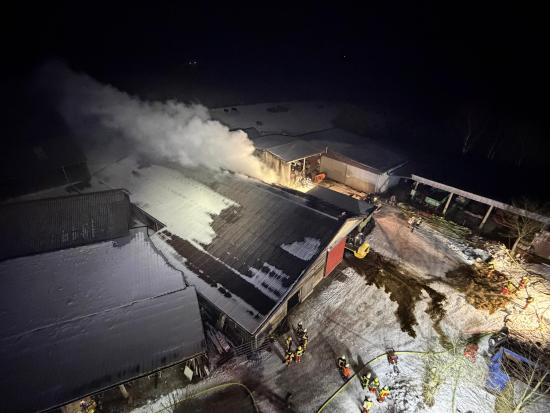 Bild - Feuer in Kuhstall &ndash; Rund 100 Einsatzkr&auml;fte im Einsatz