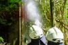 Bild - Großfeuer in Damendorf – Feuerwehr im mit Großaufgebot im Einsatz